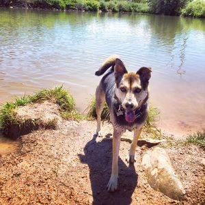 Meet your Posher, Allyson